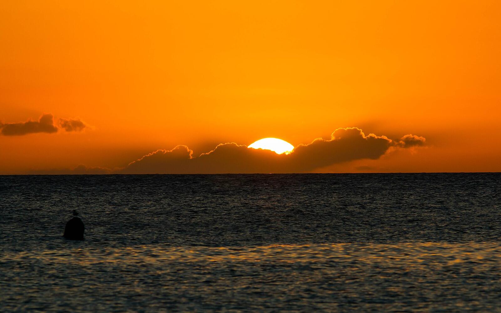 Sunset cruise